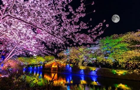 無錫有什麼遊樂園？探索無錫遊樂園的魅力與特色